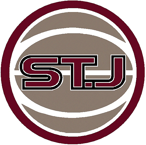 St. John's Red Storm 2004-2006 Alternate Logo DIY iron on transfer (heat transfer)